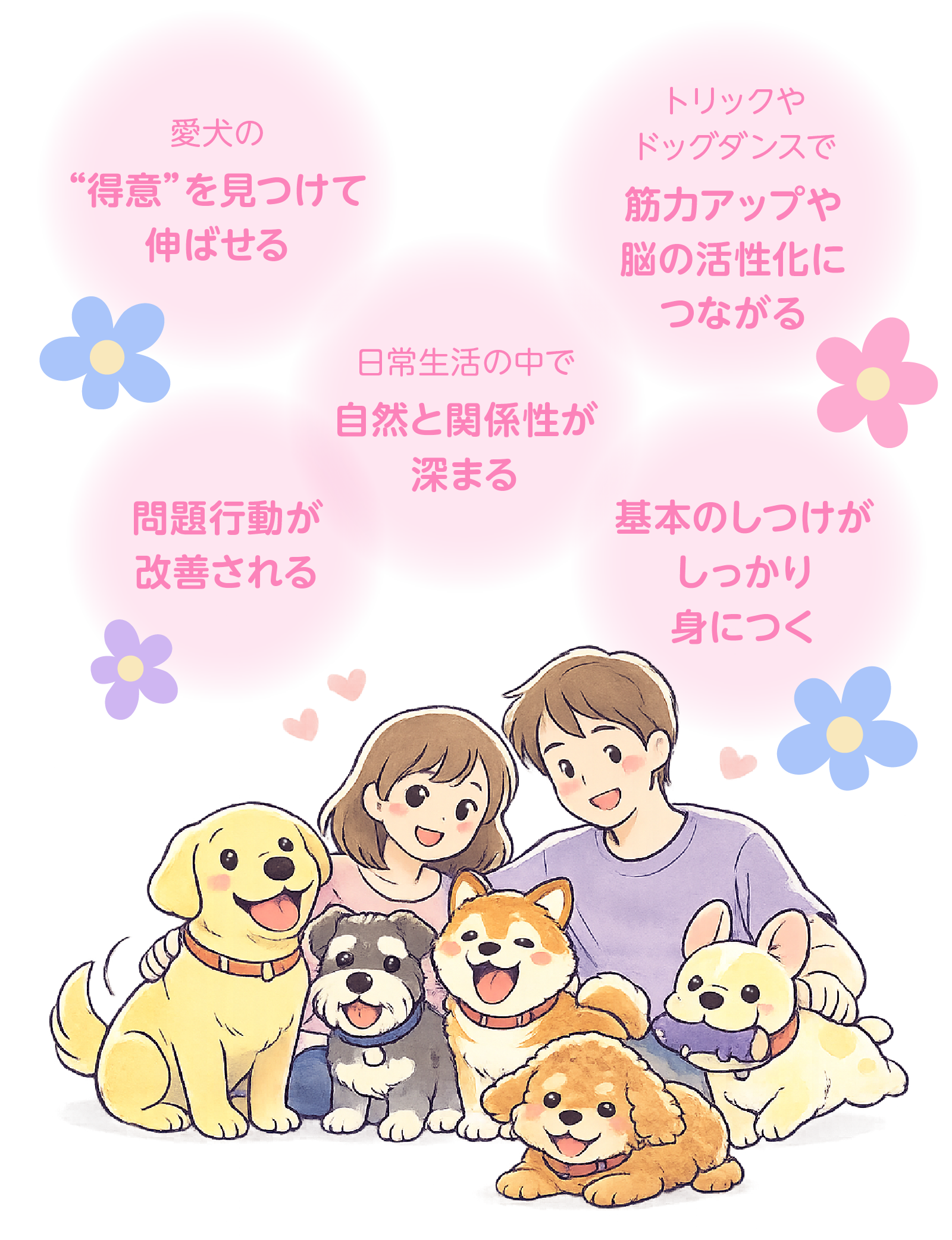 おうちわんこの先生と一緒に学ぶとわかること
